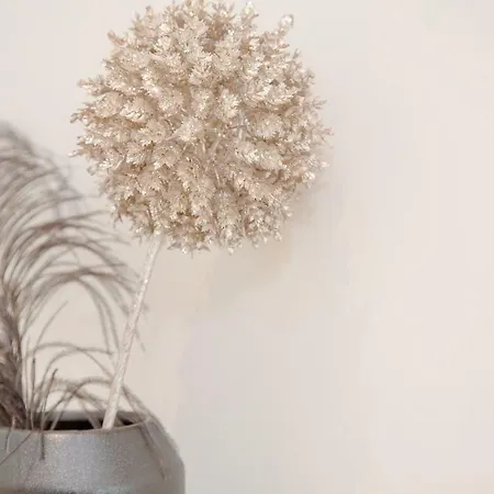 Liiiving In - Cozy & Chic Downtown *