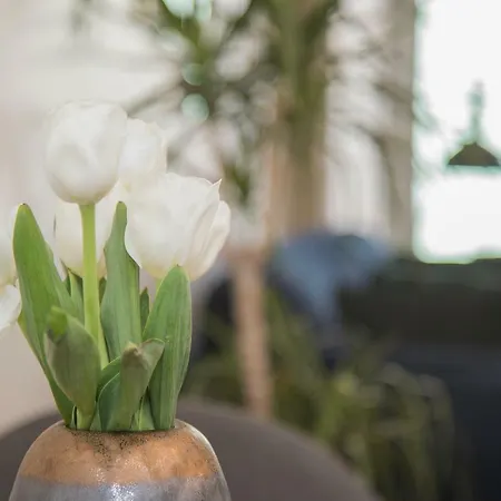 Apartment Liiiving In - Cozy & Chic Downtown